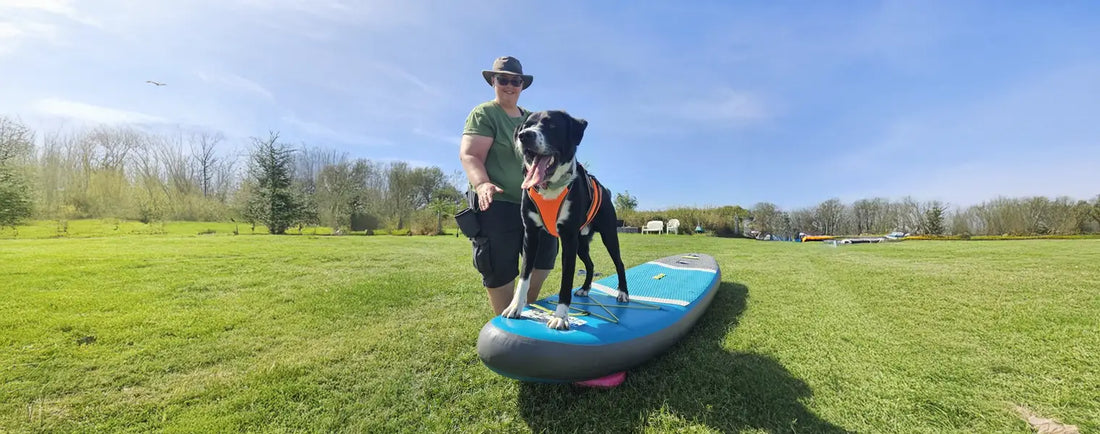 BOGGL Erfahrungsbericht von Julia Bartelt – Ernährungsberatung für Hunde