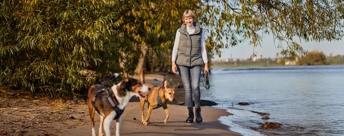 BOGGL Erfahrungsbericht von Katrin Zimmermann – Expertin Haustierbedarf