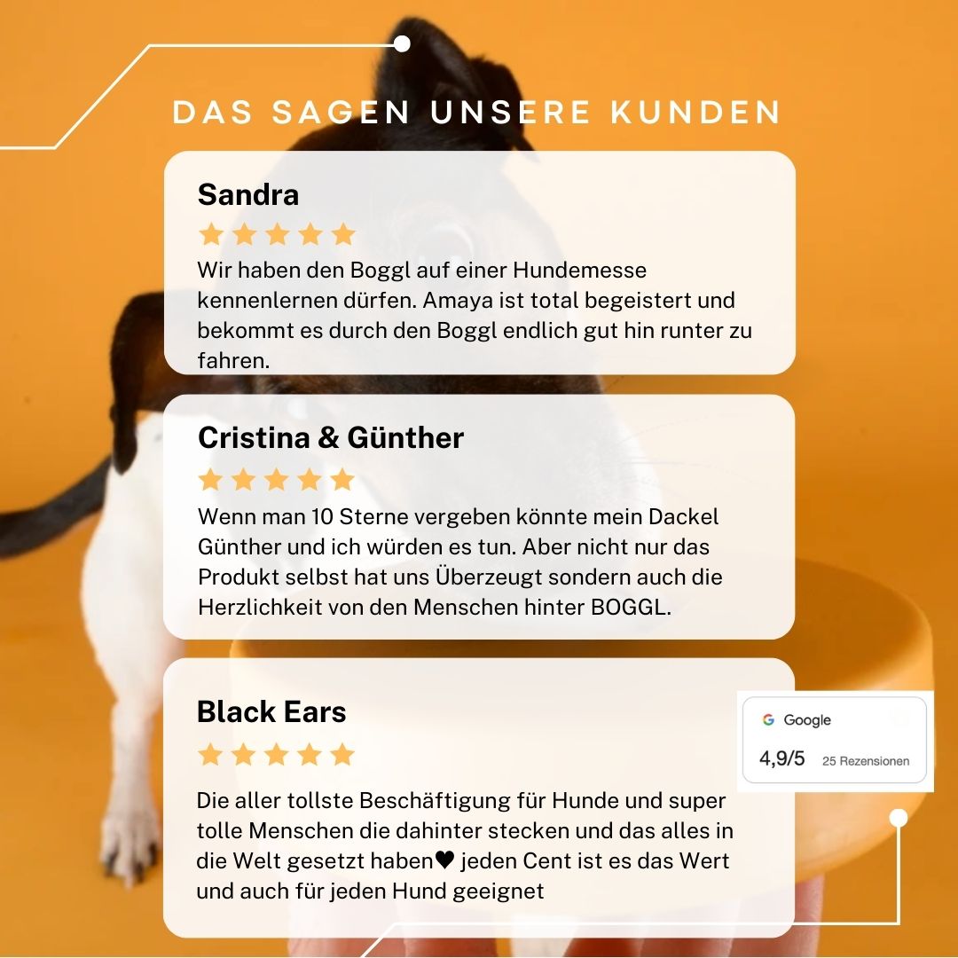 Spar-Set BOGGL® S: Schleckspielzeug + 3 x FOGGL-Form