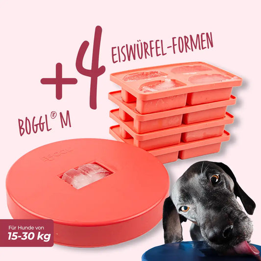 BOGGL® Spar-Set M Beere für Hunde: BOGGL M Schleckspielzeug mit 4 FOGGL-Eiswürfelformen – Hund schleckt am BOGGL