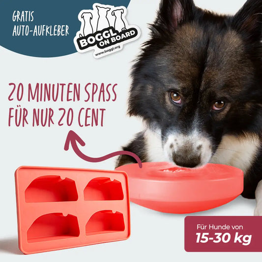 Einsteiger-Set BOGGL® M für große Hunde: Schleckspielzeug + Form