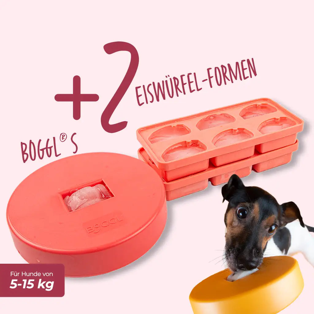 Spar-Sets BOGGL® S: Schleckspielzeug + FOGGL-Formen