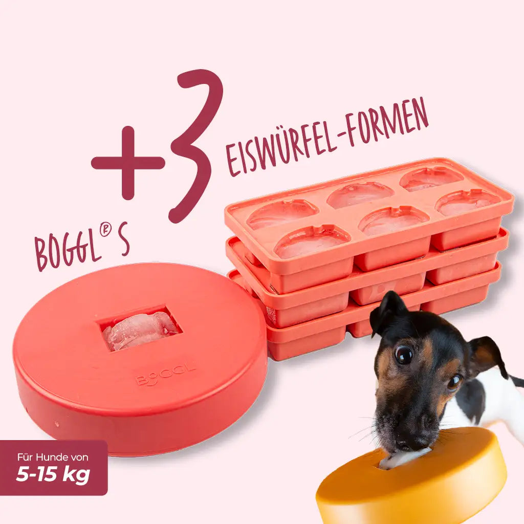 BOGGL® Spar-Set S Beere für Hunde: BOGGL S Schleckspielzeug mit 3 FOGGL-Eiswürfelformen – Hund schleckt am BOGGL