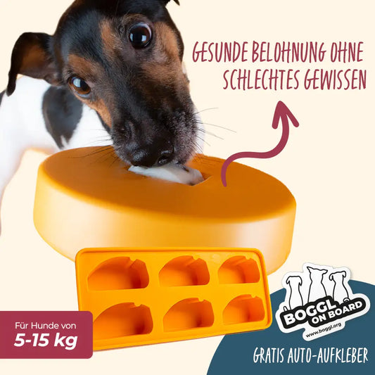 Einsteiger-Set BOGGL® S für kleine Hunde: Schleckspielzeug + Form