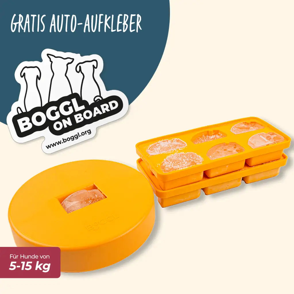Spar-Sets BOGGL® S: Schleckspielzeug + FOGGL-Formen