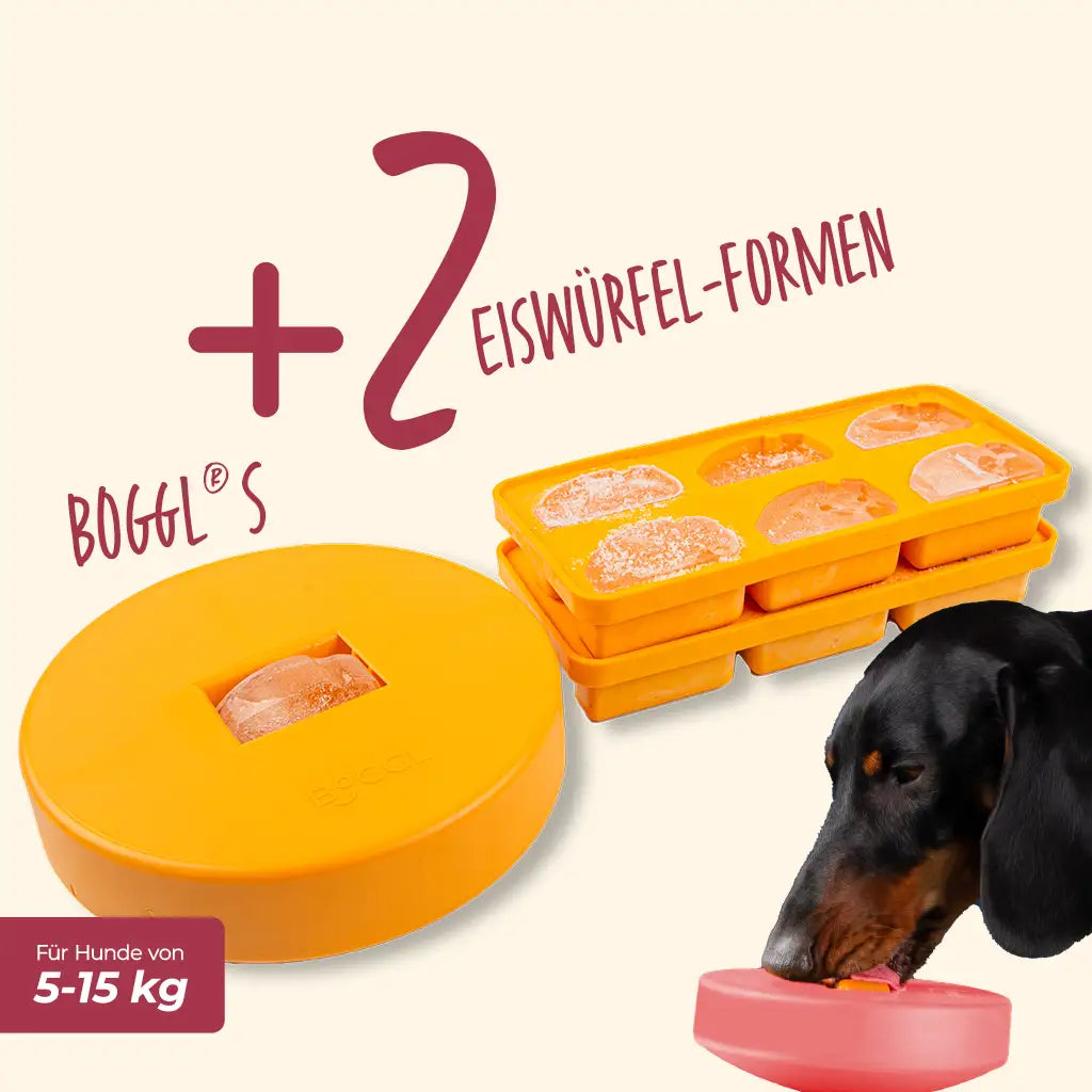 Spar-Sets BOGGL® S: Schleckspielzeug + FOGGL-Formen