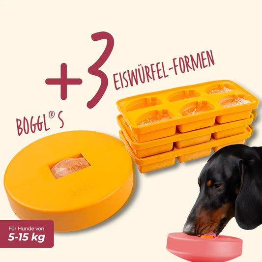BOGGL® Spar-Set S Gelb für Hunde: BOGGL S Schleckspielzeug mit 3 FOGGL-Eiswürfelformen – Hund schleckt am BOGGL