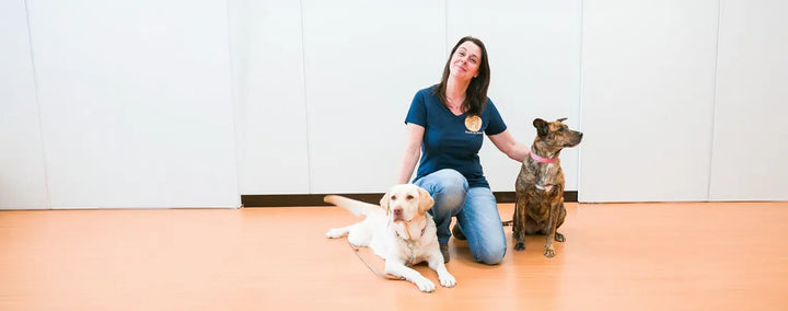 Schlecken statt Stressen – warum eine Hundetrainerin den Boggl nicht mehr missen will