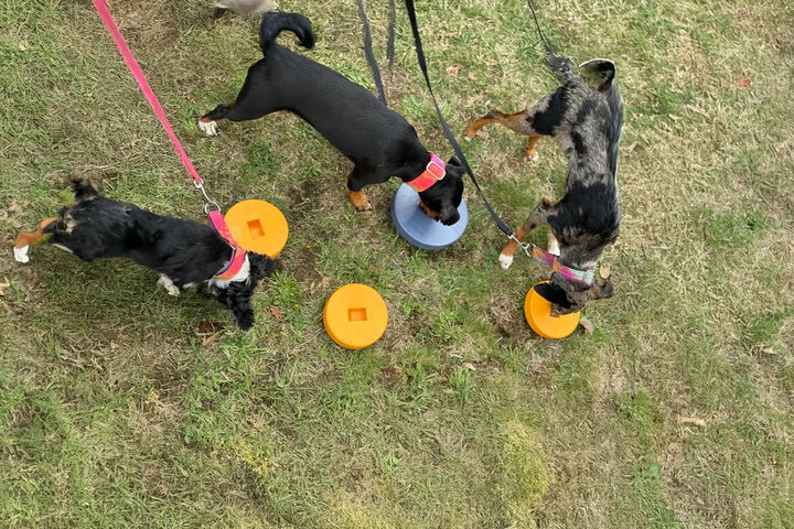 Was macht den BOGGL® wirklich besonders?