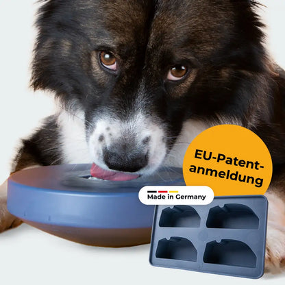 Einsteiger-Set BOGGL® M für große Hunde: Schleckspielzeug + Form