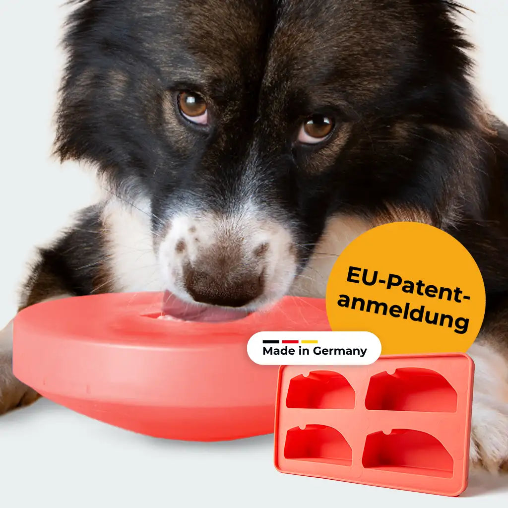 Einsteiger-Set BOGGL® M für große Hunde: Schleckspielzeug + Form