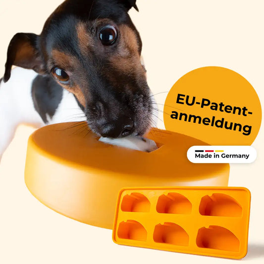 Einsteiger-Set BOGGL® S für kleine Hunde: Schleckspielzeug + Form