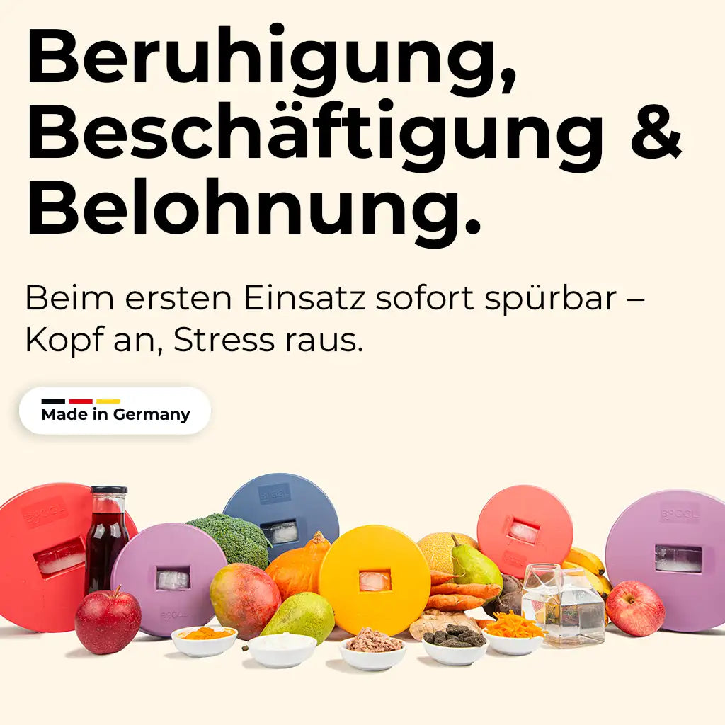 Einsteiger-Set BOGGL® S für kleine Hunde: Schleckspielzeug + Form