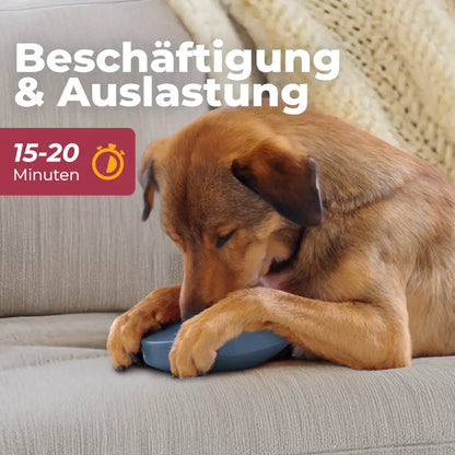 Einsteiger-Set BOGGL® S für kleine Hunde: Schleckspielzeug + Form