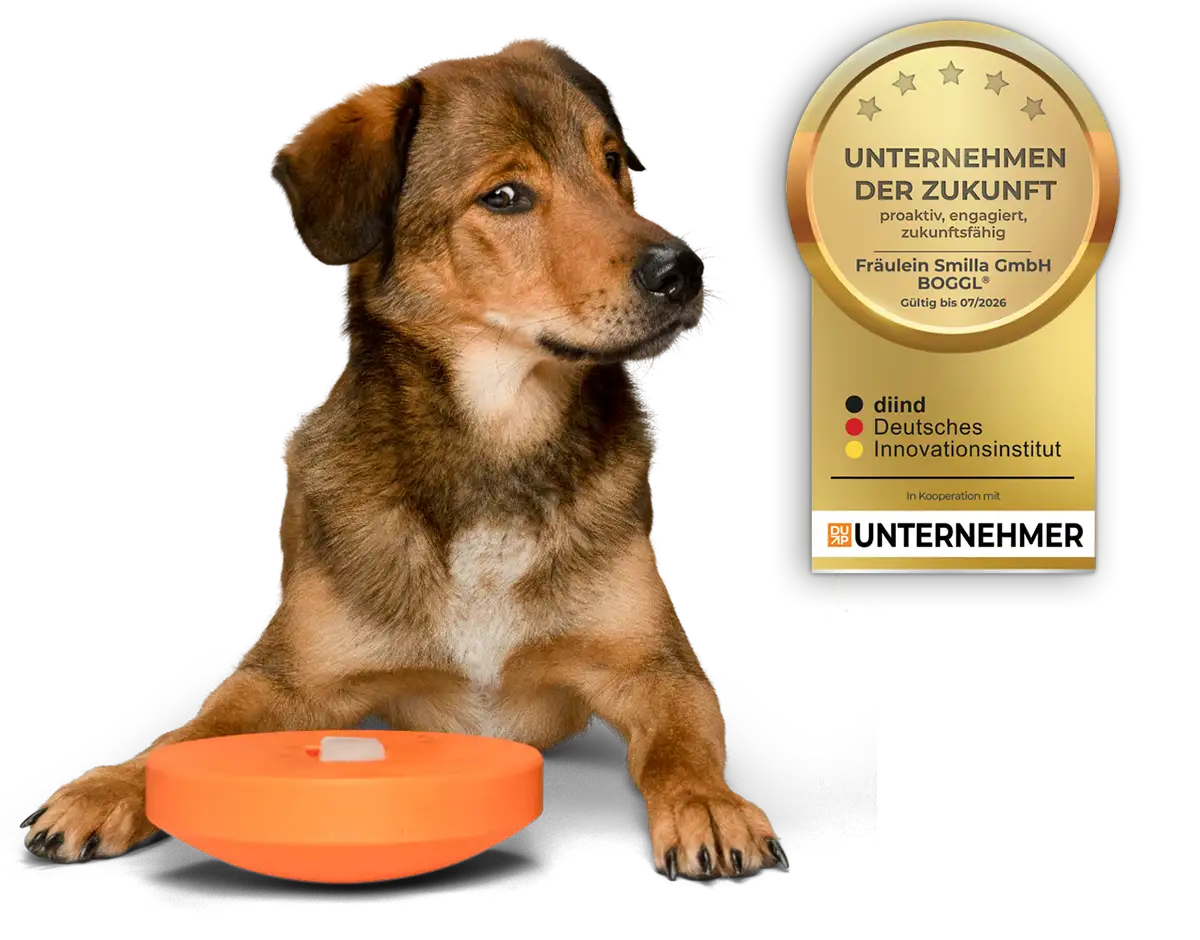 BOGGL Beschäftigungsspielzeug für Hunde: Wir wurden ausgezeichnet!