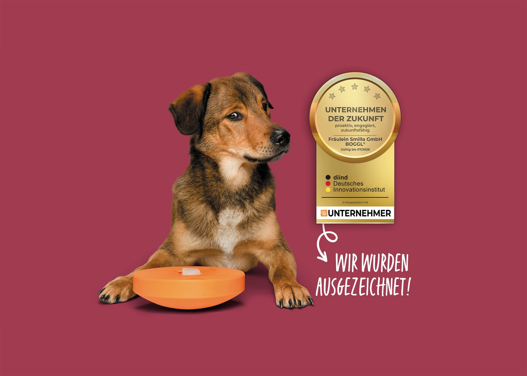 Hund mit dem BOGGL: Hundeeis und Hundespielzeug in einem: DIIND Auszeichnung Unternehmen der Zukunft