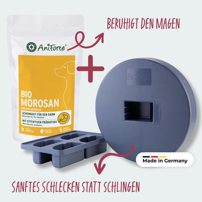 BOGGL® Magenwohl-Bundle M