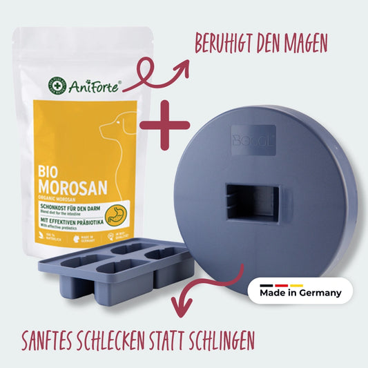 BOGGL® Magenwohl-Bundle M