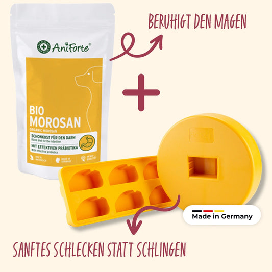 BOGGL® Magenwohl-Bundle S
