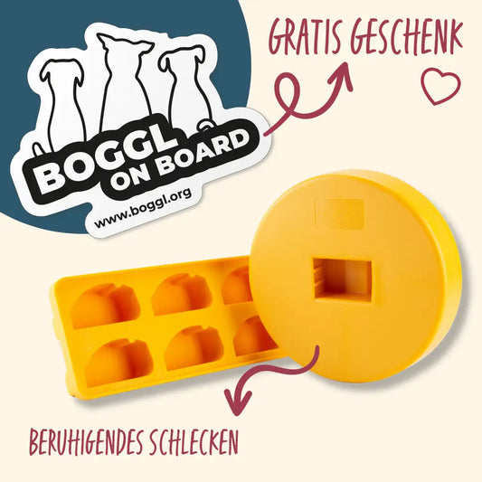 BOGGL on Board: Hochwertiger Autoaufkleber als Geschenk