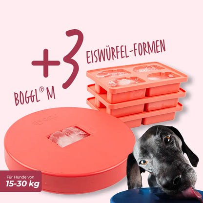 Spar-Sets BOGGL® M: Schleckspielzeug + FOGGL-Formen