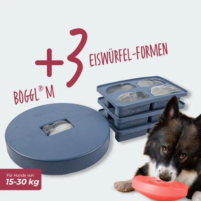 Spar-Sets BOGGL® M: Schleckspielzeug + FOGGL-Formen