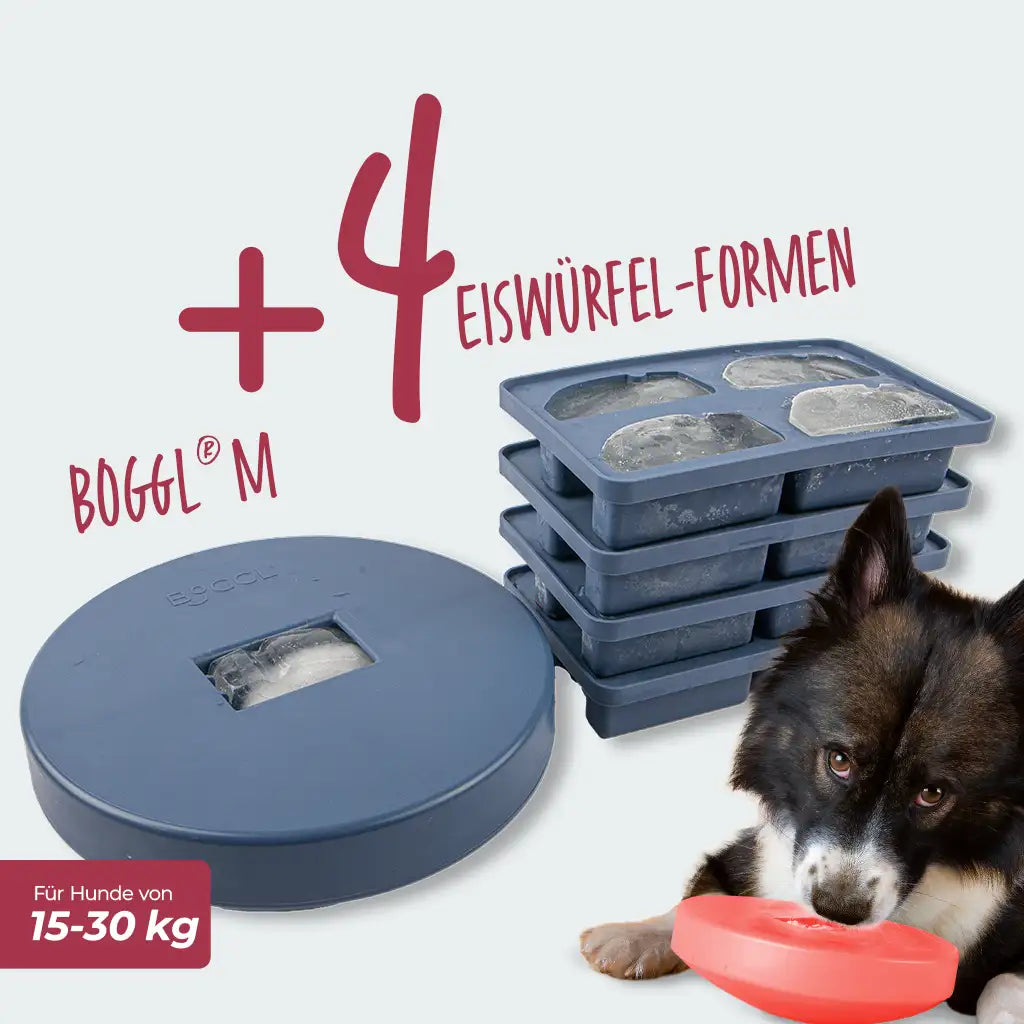 Spar-Sets BOGGL® M: Schleckspielzeug + FOGGL-Formen