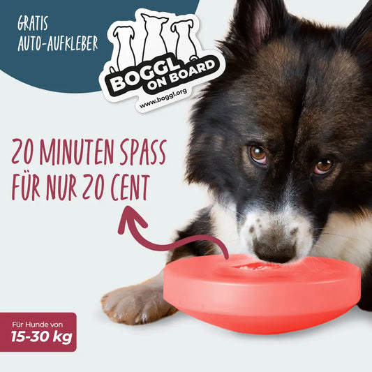 Einsteiger-Set BOGGL® M für große Hunde: Schleckspielzeug + Form