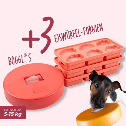 Spar-Sets BOGGL® S: Schleckspielzeug + FOGGL-Formen