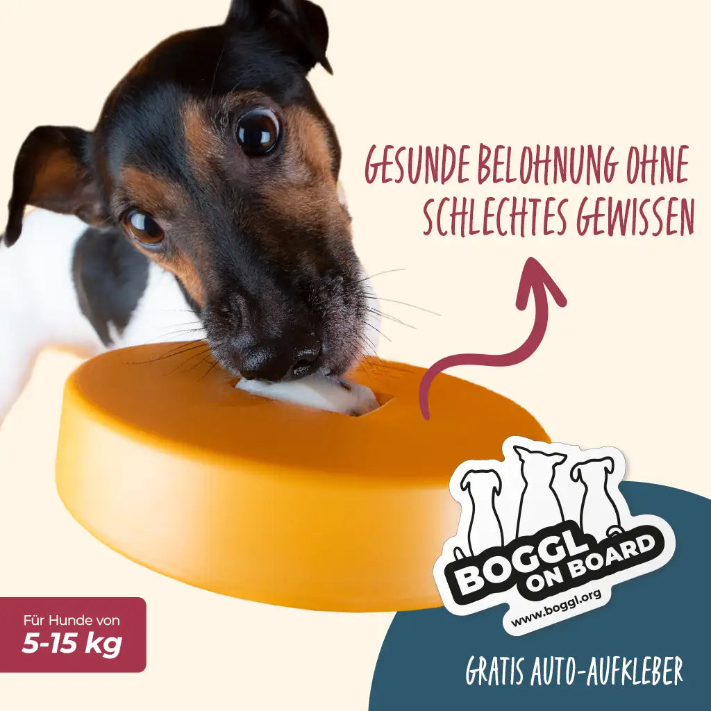 Einsteiger-Set BOGGL® S für kleine Hunde: Schleckspielzeug + Form