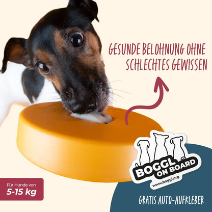 Einsteiger-Set BOGGL® S für kleine Hunde: Schleckspielzeug + Form
